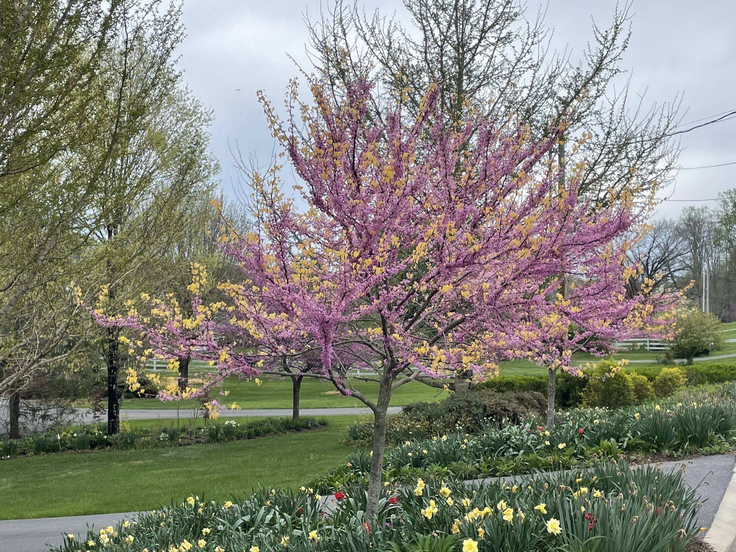 Change is part of it